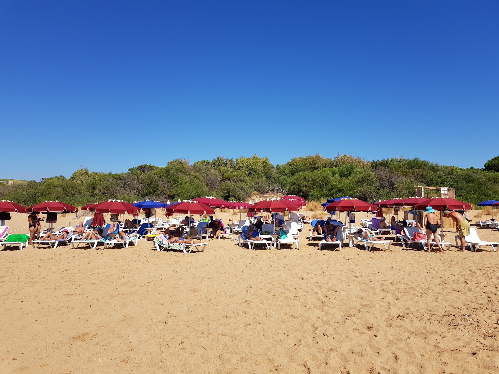 Spiaggia La Pineta'in fotoğrafı - tatil için iyi evcil hayvan dostu nokta