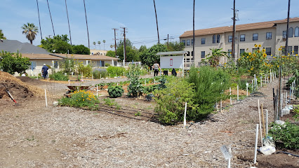 Center Street Community Garden
