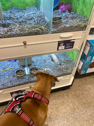 Pet Supply Store «PetSmart», reviews and photos, 2818 S Louise Ave, Sioux Falls, SD 57106, USA