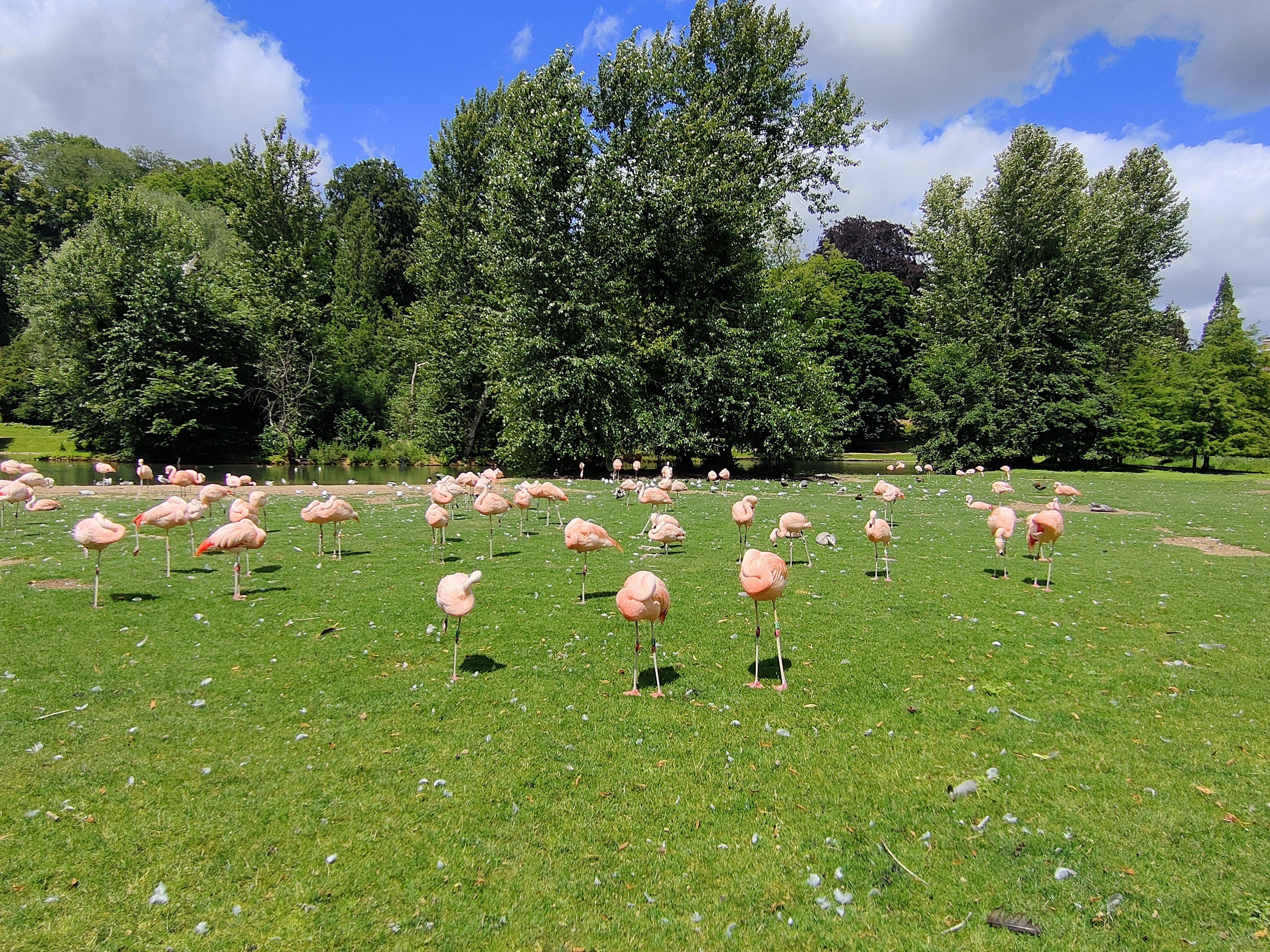 Photo n° 11 de l'avis de Claude.a fait le 03/08/2023 à 20:56
