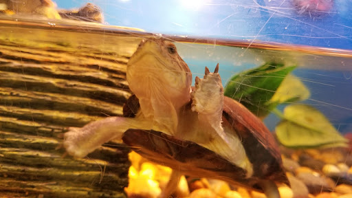 Pet Supply Store «PetSmart», reviews and photos, 3780 Riverchase Village #300, Hoover, AL 35244, USA