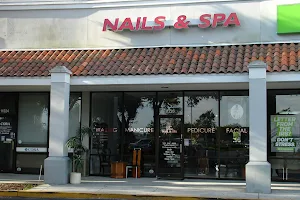 Diva Nail & Spa image