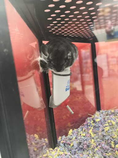 Pet Supply Store «Petco Animal Supplies», reviews and photos, 181 North 545 West, West Bountiful, UT 84087, USA