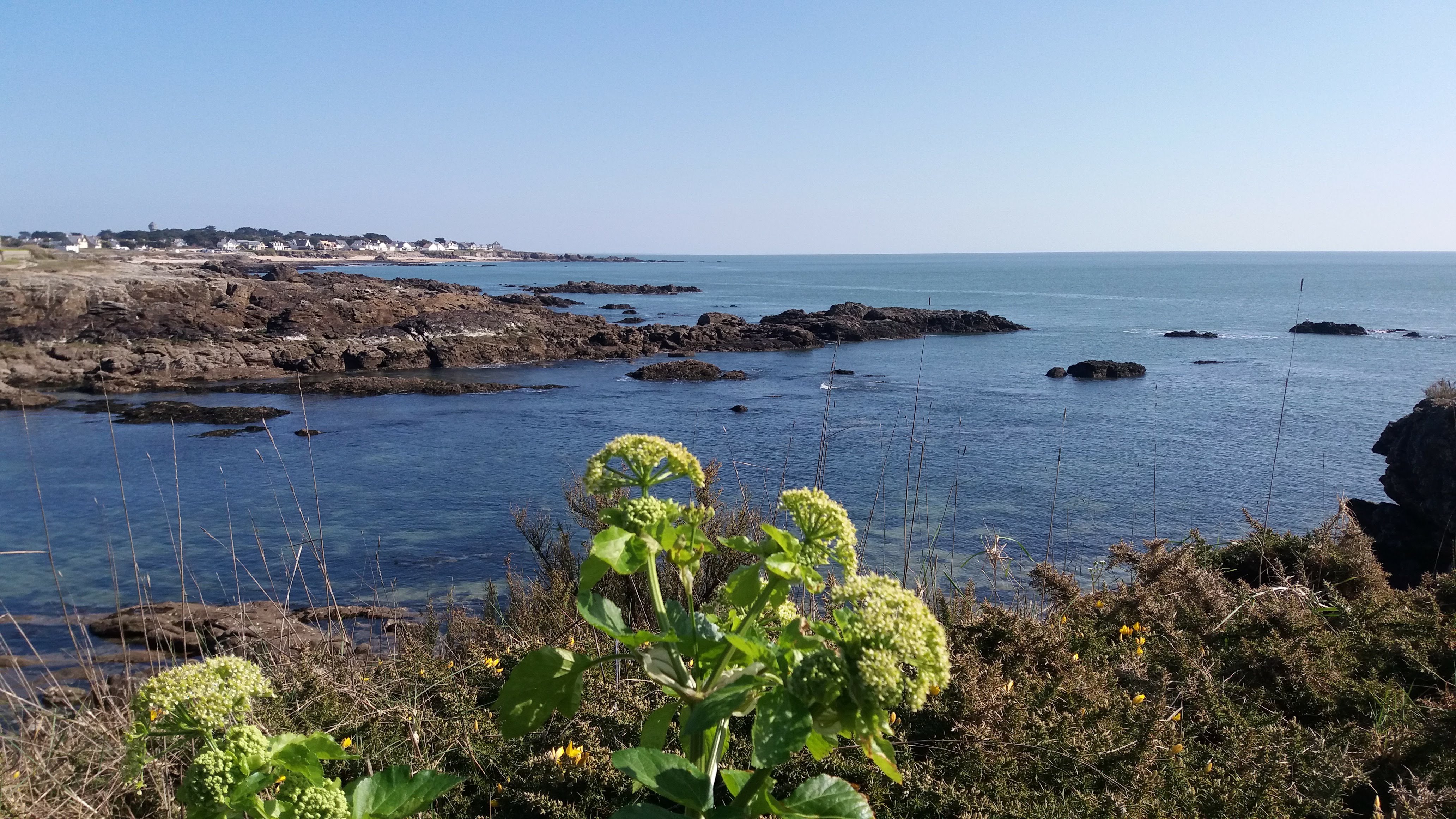 Photo n° 2 de l'avis de Christine.y fait le 22/03/2021 à 16:33