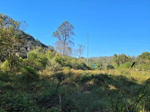 Nature Preserve «Blue Heron Nature Preserve», reviews and photos, 4055 Roswell Rd NE, Atlanta, GA 30342, USA