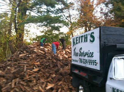 Keith's Tree Removal Service