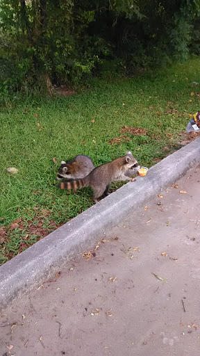 Discount Store «Dollar General», reviews and photos, 14354 Airline Hwy, Gonzales, LA 70737, USA