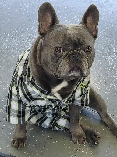 Pawn Shop «Montbello Pawn», reviews and photos, 4624 Peoria St, Denver, CO 80239, USA