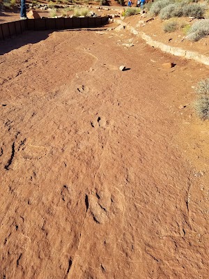 Warner Valley Dinosaur Track Site - photo 51