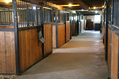 Morning Star Equestrian Farm