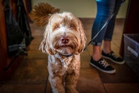 Pet Palace - Hilliard - Photo 5 - Car repair in Hilliard, OH, Columbus