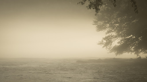 Park «Jones Bridge Park», reviews and photos, 4901 E Jones Bridge Rd, Peachtree Corners, GA 30092, USA