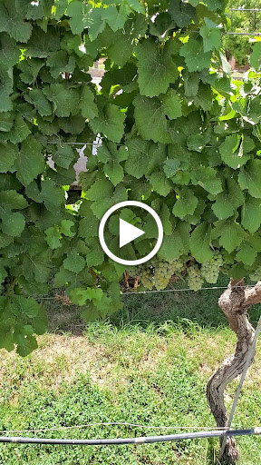 Winery «Zin Valle Vineyards», reviews and photos, 7315 Canutillo-La Union Rd, Canutillo, TX 79835, USA