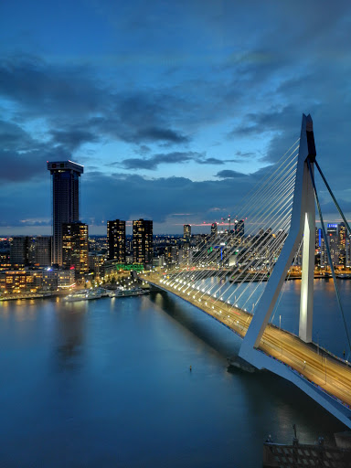 Stock exchange courses in Rotterdam