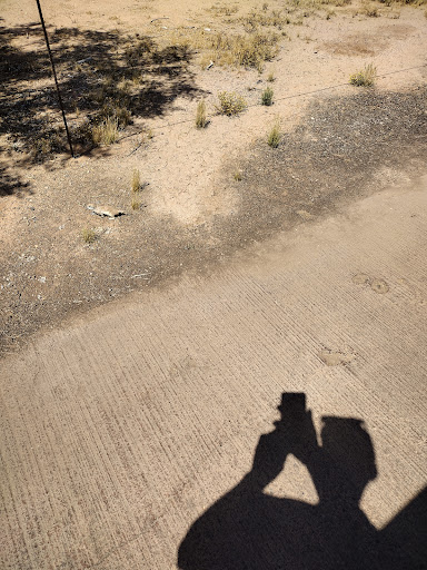 Golf Course «Talking Stick Golf Club», reviews and photos, 9998 E Indian Bend Rd, Scottsdale, AZ 85256, USA