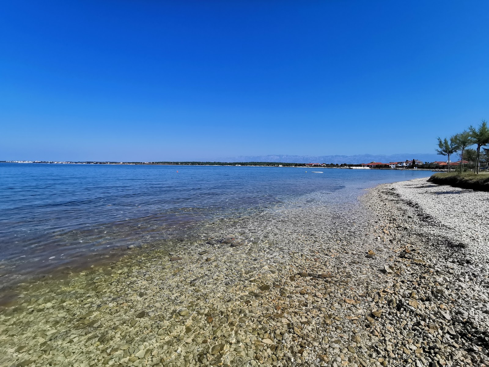 Plaza Punta'in fotoğrafı imkanlar alanı