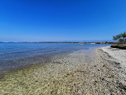 Plaza Punta'in fotoğrafı imkanlar alanı