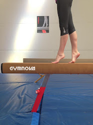 Gymnastica Gym Club (Strandon Facility)