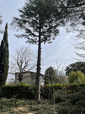 Les jardins de lulu à Pélissanne