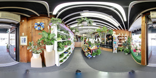 Florist «Blossom Flower Shops», reviews and photos, 275 Mamaroneck Ave, White Plains, NY 10605, USA