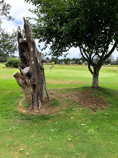 Golf Course «Neskowin Marsh Golf Course», reviews and photos, 48405 Hawk Dr, Neskowin, OR 97149, USA