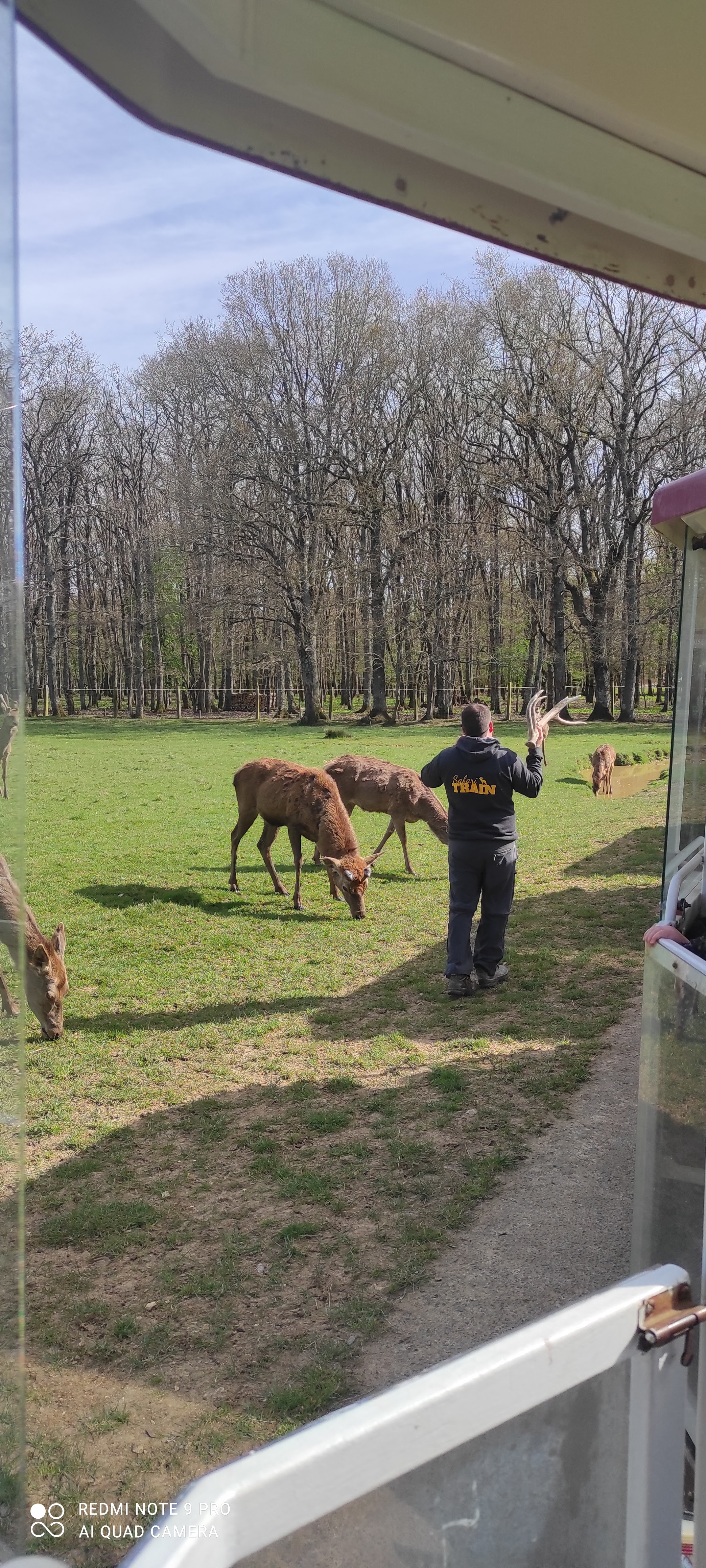 Photo n° 3 de l'avis de Magali.e fait le 13/04/2022 à 19:25