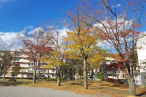 Yoshikawadanchi Park image