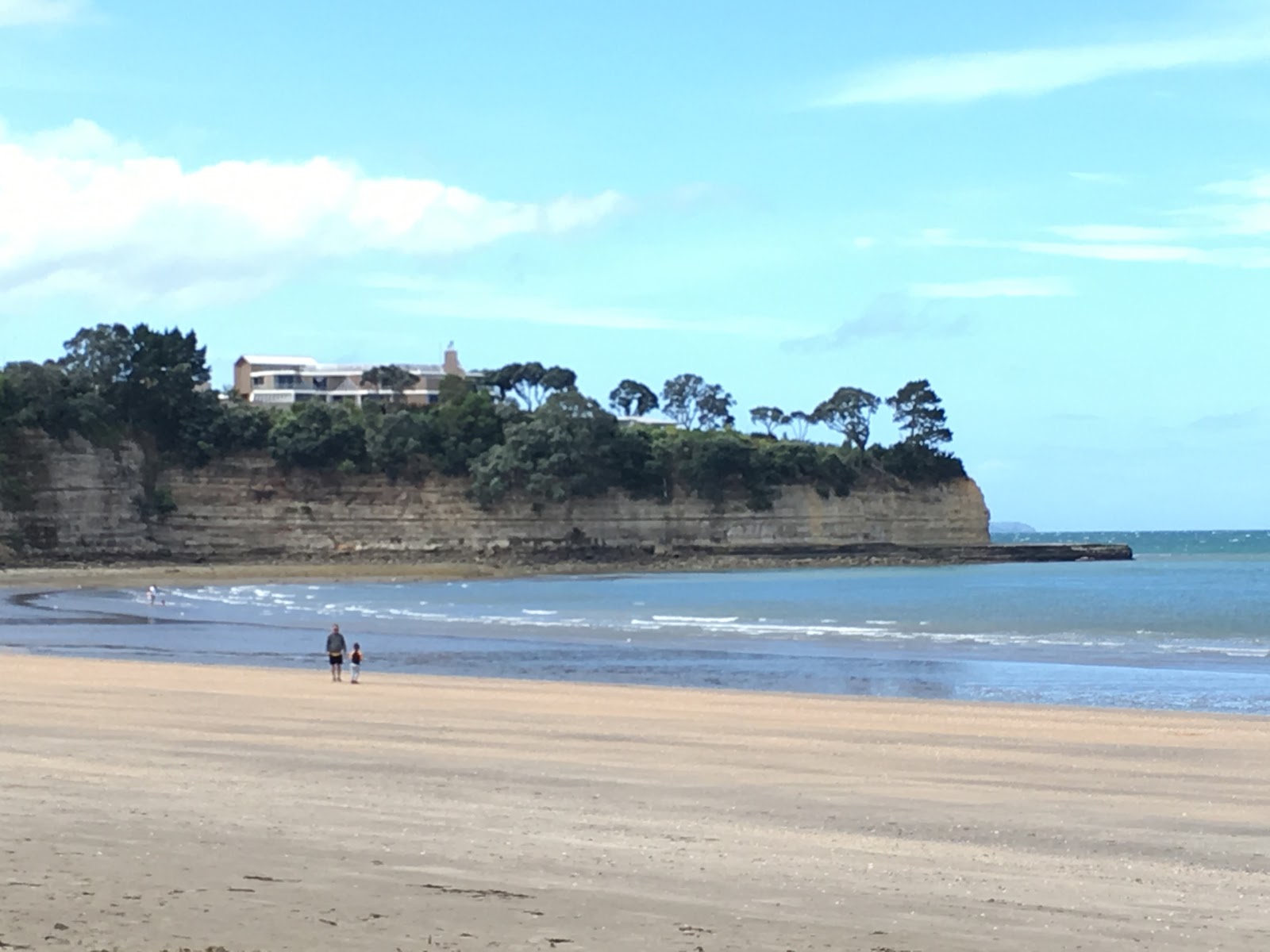 Foto de Browns Bay Beach - lugar popular entre os apreciadores de relaxamento