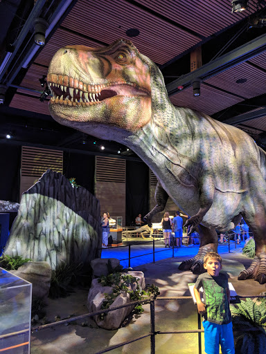 Museum «Witte Museum», reviews and photos, 3801 Broadway St, San Antonio, TX 78209, USA