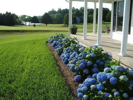 Garden Center «Lake Anna Nursery», reviews and photos, 71 Oak Grove Dr, Mineral, VA 23117, USA