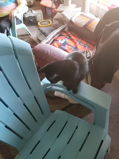 Department Store «Target», reviews and photos, 7899 Wadsworth Blvd, Arvada, CO 80003, USA