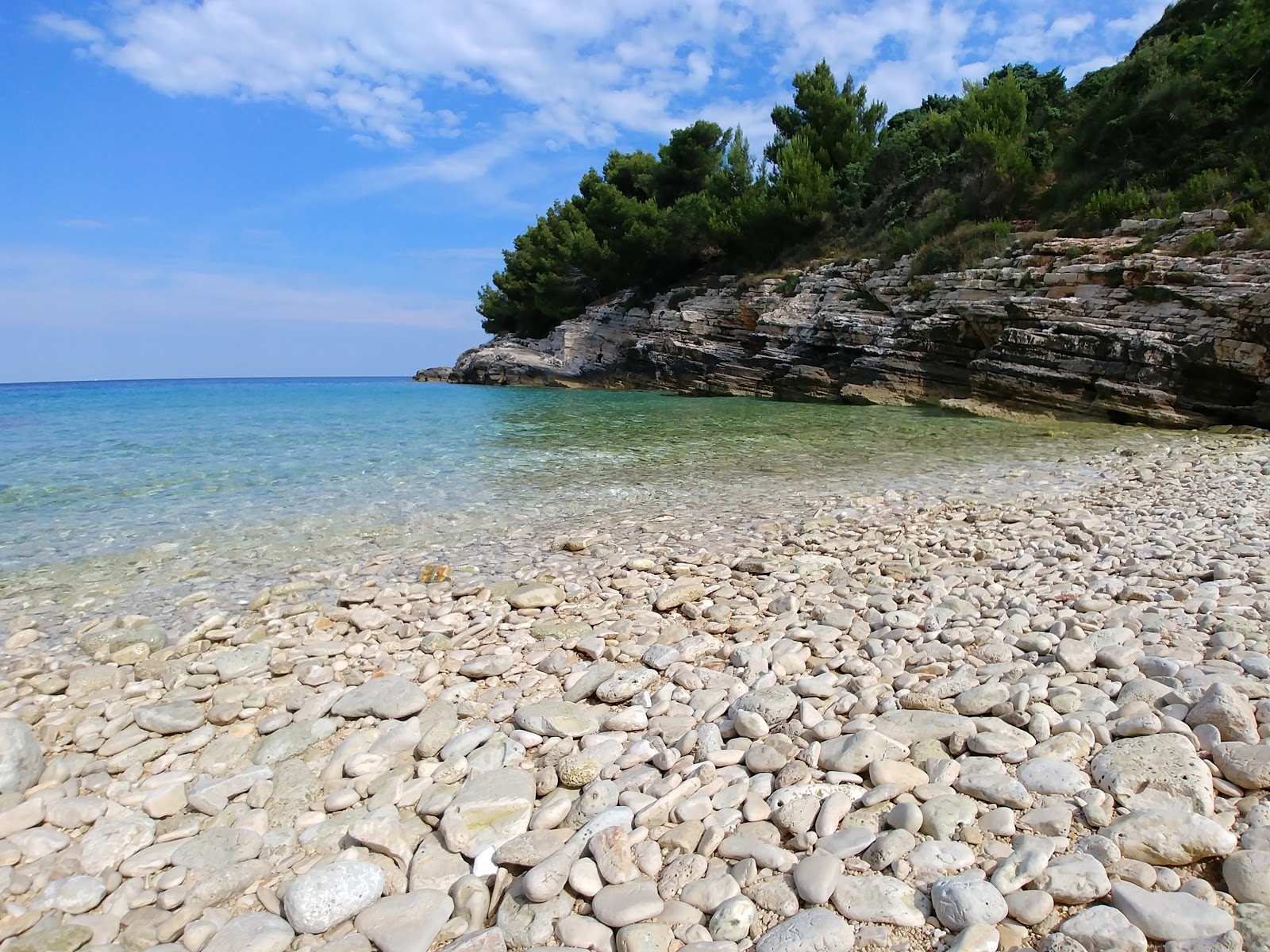 Fotografie cu Radovica beach - locul popular printre cunoscătorii de relaxare