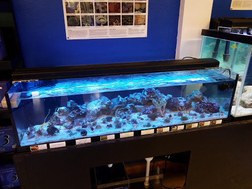 Pet Store «Aqua-Holics», reviews and photos, 2154 Central Florida Pkwy, Orlando, FL 32837, USA