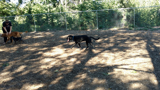 Dog Park «Maynard Dog Park», reviews and photos, 128 Waltham St, Maynard, MA 01754, USA