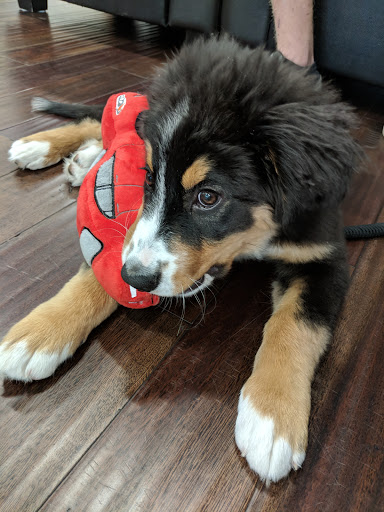 Used Car Dealer «Greeley Subaru», reviews and photos, 4720 W 24th St, Greeley, CO 80634, USA