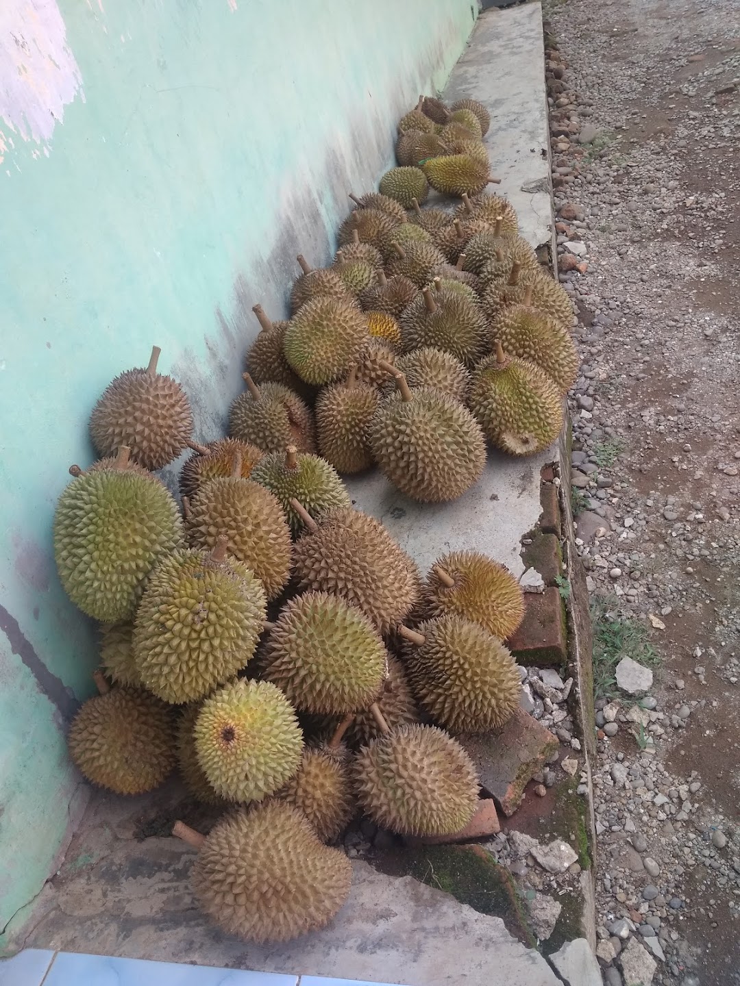 Oemah Durian