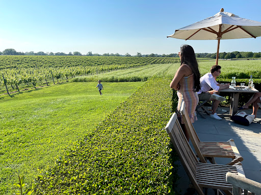 Vineyard «Wölffer Estate Vineyard», reviews and photos, 139 Sagg Rd, Sagaponack, NY 11962, USA