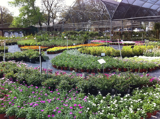 Guerin Nursery and Boutique, 1418 Fall Creek Hwy, Granbury, TX 76049, USA, 