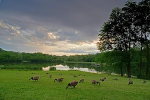 Fort Harrison State Park image