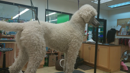 Pet Supply Store «Pet Supplies Plus», reviews and photos, 4751 Hiawatha Ave, Minneapolis, MN 55406, USA