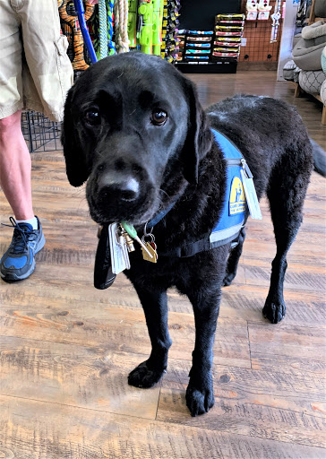 Pet Store «Earthwise Pet - Southlake», reviews and photos, 100 W Southlake Blvd #150, Southlake, TX 76092, USA