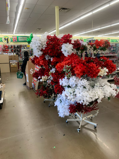 Dollar Store «Dollar Tree», reviews and photos, 2800 TX-121 #200, Euless, TX 76039, USA