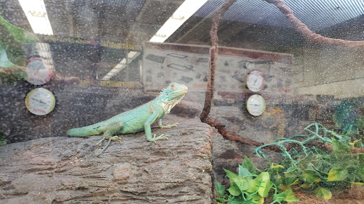 Pet Supply Store «Petco Animal Supplies», reviews and photos, 1090 Fort Union Blvd, Midvale, UT 84047, USA