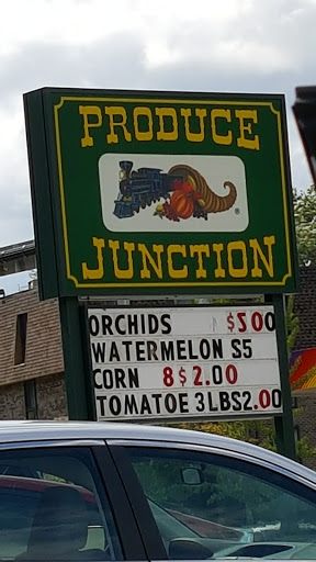 Produce Market «Produce Junction Inc», reviews and photos, 265 S Easton Rd, Glenside, PA 19038, USA