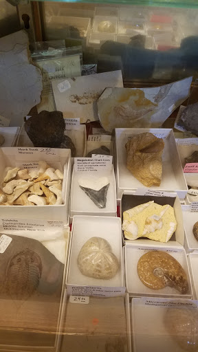 Art Gallery «Bradys Village Art Gallery», reviews and photos, 3312 Main St, Morgantown, PA 19543, USA