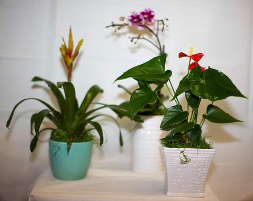 Florist «J & J Party Supplies & Flowers», reviews and photos, 15019 Roscoe Blvd, Panorama City, CA 91402, USA