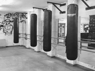 Boxing team Coppola, Sport de combat
