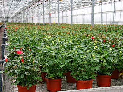 Aldershot Greenhouses Limited