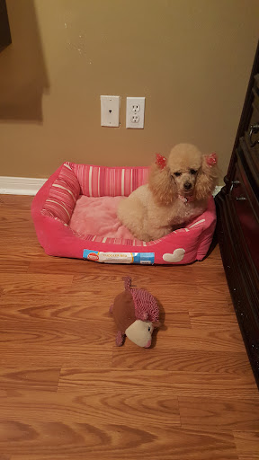 Pet Supply Store «PetSmart», reviews and photos, 4045 Dowlen Rd, Beaumont, TX 77706, USA