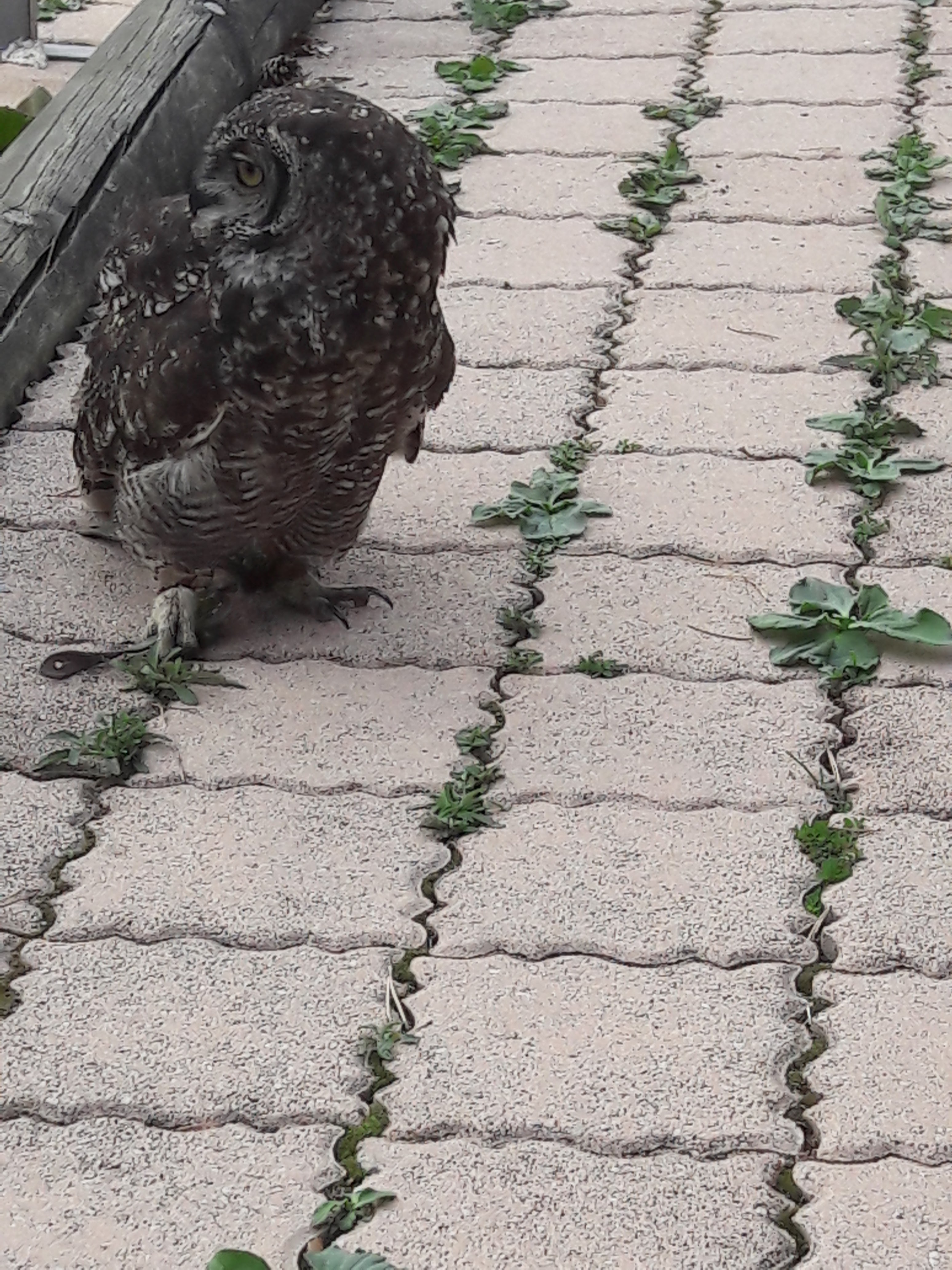 Photo n° 2 de l'avis de Edouard.O fait le 29/10/2018 à 19:26